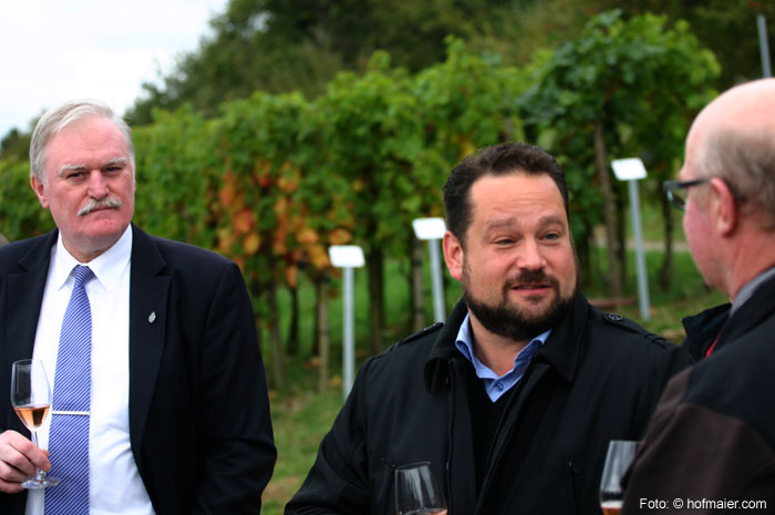 Weinlese 2015 in Baden: Geringere Mengen bei guter Qualität